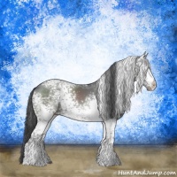 Horse Color:White Spotted Black Ice Rabicano 