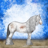 Horse Color:White Spotted Brown Ice