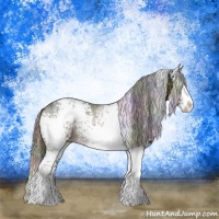 Horse Color:Nacre White Spotted Liver Chestnut Ice Splash Rabicano 