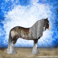 Horse Color:White Spotted Brown Ice Onyx Sabino Splash Rabicano 