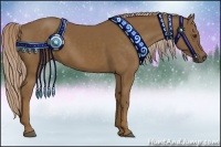 Horse Color:Chocolate Palomino