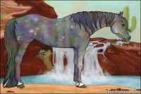 Horse Color:Nacre Black 