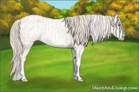 Horse Color:Perlino Sabino  and Perlino Sabino 