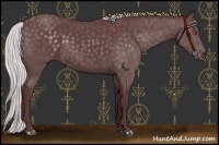 Horse Color:Chocolate Silver Black Chinchilla Sabino 