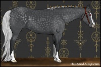 Horse Color:Silver Black Chinchilla Sabino 