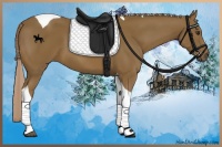 Horse Color:Chocolate Palomino Tobiano 