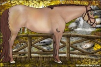 Horse Color:Chocolate Sable Champagne Varnish 