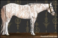 Horse Color:Amber Champagne Sabino Tobiano Varnish  and Amber Champagne Sabino Tobiano Varnish 