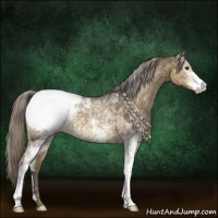 Horse Color:White Spotted Chocolate Palomino Mushroom Snowcap