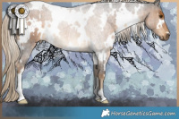 Horse Color:White Spotted Chocolate Palomino
