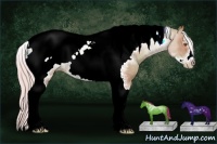 Horse Color:Watercolor Silver Black Pearl Sabino Tobiano Frame Appaloosa Rabicano