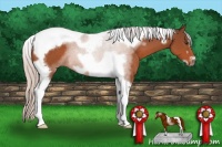 Horse Color:Silver Brown Tobiano Frame Rabicano 