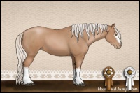 Horse Color:White Spotted Silver Black Pearl