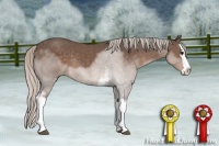 Horse Color:White Spotted Silver Black Splash Rabicano 