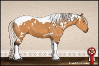 Horse Color:White Spotted Silver Buckskin Tobiano 