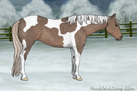 Horse Color:Silver Black Tobiano