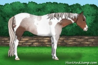 Horse Color:Silver Black Sabino Tobiano 