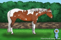 Horse Color:White Spotted Silver Brown Tobiano 