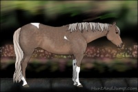 Horse Color:Silver Black Tobiano 