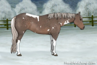 Horse Color:White Spotted Silver Black Tobiano Rabicano 