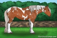 Horse Color:White Spotted Silver Brown Tobiano 