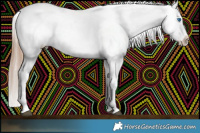 Horse Color:White Spotted Chocolate Brown Pearl Dun Sabino Splash Appaloosa Rabicano Brindle 