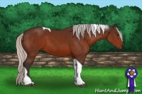 Horse Color:Silver Brown Tobiano 