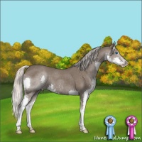 Horse Color:Silver Blue Roan Splash 