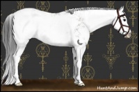 Horse Color:Blue Onyx Sabino Splash Near Leopard 