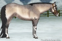Horse Color:Brown Roan Onyx 