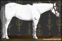 Horse Color:Blue Onyx Roan Near Fewspot 