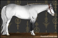 Horse Color:Silver Bay Chinchilla Sabino