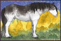 Horse Color:White Spotted Liver Chestnut Sabino Splash 