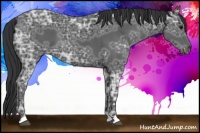 Horse Color:Black Ice 