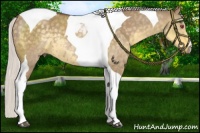 Horse Color:Chocolate Silver Smoky Grullo Chinchilla Tobiano Rabicano