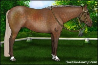 Horse Color:Silver Buckskin 