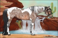 Horse Color:Bay Ice Tobiano Rabicano