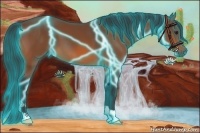 Horse Color:Thunderstruck Bay