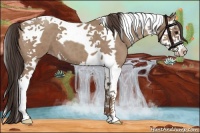 Horse Color:Classic Champagne Splash Tobiano 