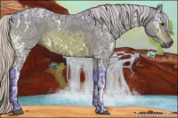Horse Color:Gray Watercolor Silver Bay Ice