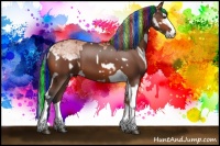 Horse Color:Painted White Spotted Silver Bay  and Painted Bay Splash Tobiano 