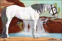 Horse Color:Painted Nacre Bay Ice Dun Tobiano