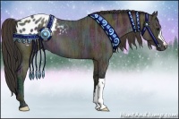 Horse Color:Midnight Bay Ice Roan Appaloosa 