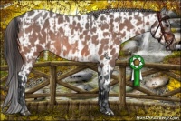 Horse Color:Bay Roan  and Bay Roan Near Leopard 