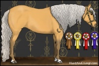 Horse Color:Silver Buckskin 