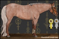 Horse Color:Chocolate Silver Bay Roan 