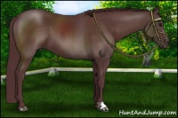 Horse Color:Chocolate Brown 