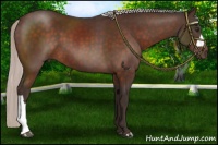 Horse Color:Silver Brown 
