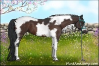 Horse Color:Brown Tobiano Frame 