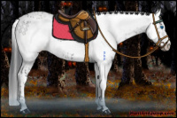 Horse Color:Black Frame 
